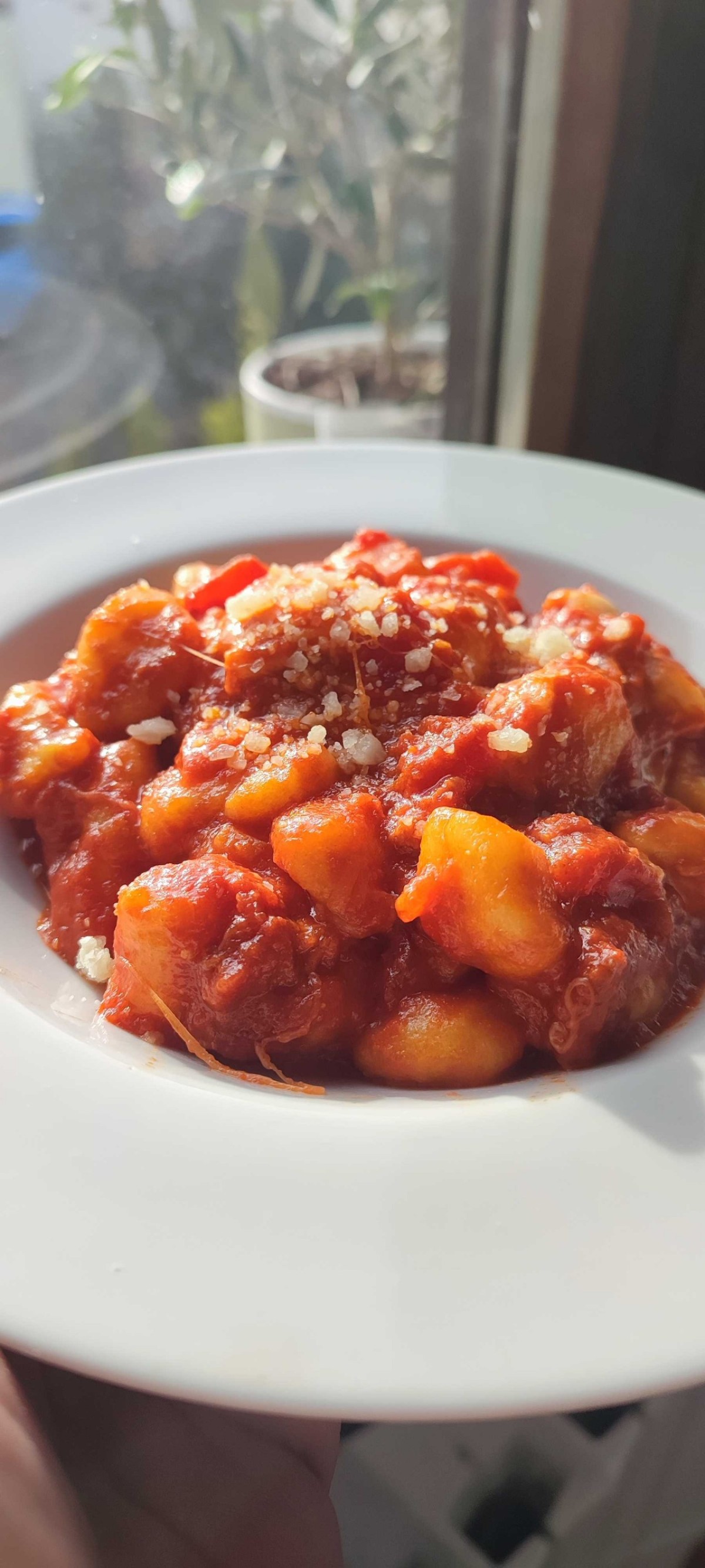 Gnocchi alla sorrentina